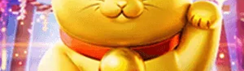 121Bet — Contato e Suporte